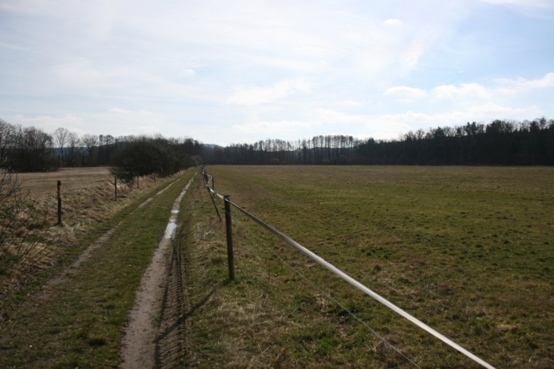 sc2008_07.jpg