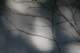 sc2008_08_small.jpg