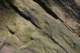 sc2008_09_small.jpg