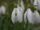 sc2009_06_small.jpg