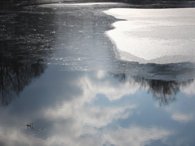 sc2009_08.jpg
