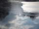 sc2009_08_small.jpg