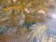 sc2009_10_small.jpg
