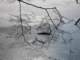 sc2009_12_small.jpg