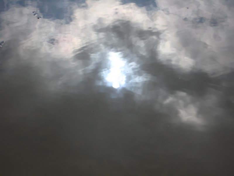 sc2009_14.jpg