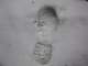 sc2009_15_small.jpg