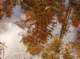 sc2009_16_small.jpg