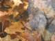 sc2009_17_small.jpg