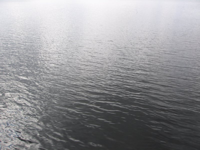 sc2009_19.jpg
