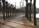 sc2009_23_small.jpg