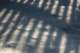 sc2010_02_small.jpg