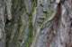 sc2010_05_small.jpg