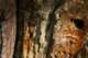 sc2010_06_small.jpg