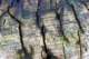 sc2010_07_small.jpg