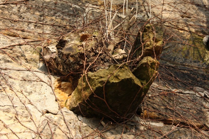sc2010_08.jpg