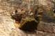 sc2010_08_small.jpg