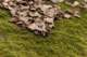 sc2010_09_small.jpg