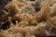 sc2010_10_small.jpg