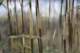 sc2010_11_small.jpg