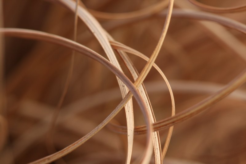 sc2010_12.jpg