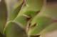 sc2010_13_small.jpg