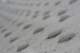 sc2010_16_small.jpg