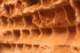 sc2010_19_small.jpg