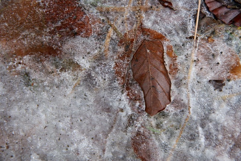 sc2010_21.jpg