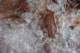 sc2010_21_small.jpg