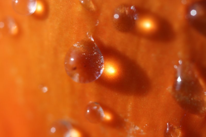 sc2011_20.jpg