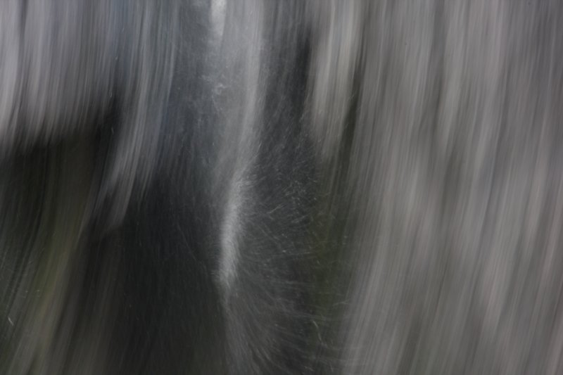 sc2012_11.jpg