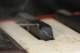 sc2016_07_small.jpg