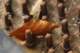 sc2016_18_small.jpg