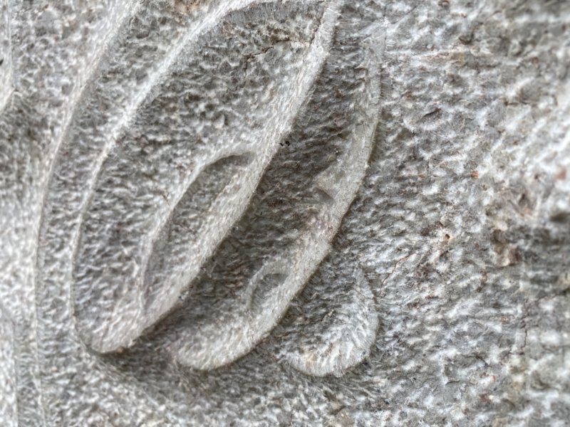 sc2021_03.jpg