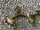sc2021_04_small.jpg