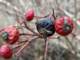 sc2021_05_small.jpg