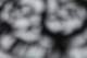 sc2022_05_small.jpg