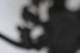 sc2022_06_small.jpg