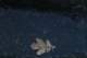 sc2022_07_small.jpg
