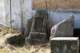 sc2022_08_small.jpg