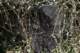 sc2022_10_small.jpg