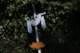 sc2022_11_small.jpg