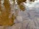 sc2023_06_small.jpg