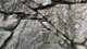 sc2024_01_small.jpg