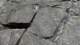 sc2024_02_small.jpg