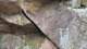 sc2024_03_small.jpg