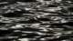 sc2024_06_small.jpg
