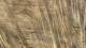 sc2024_09_small.jpg