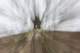 _50512419n_142724547e_small.jpg
