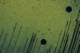 tremorsofmusic02_small.jpg